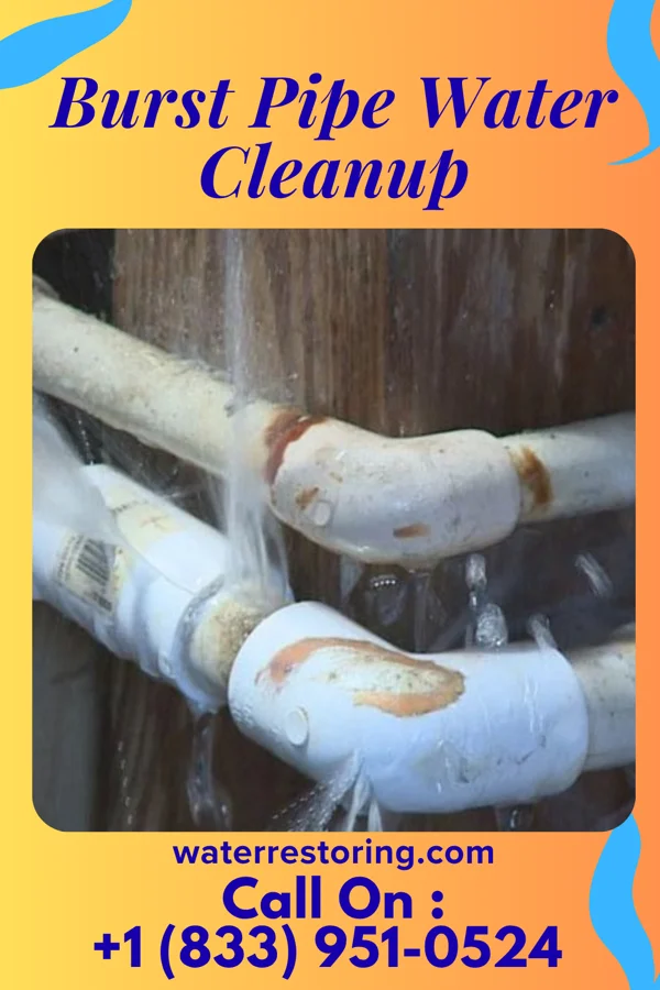 Burst Pipe Water Cleanup in Mount Aetna, MD