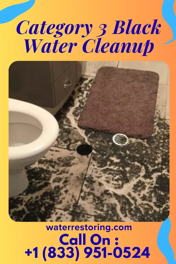 Category 3 Black Water Cleanup in Mount Aetna, MD