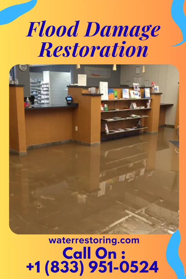 Flood Damage Restoration in Mount Aetna, MD