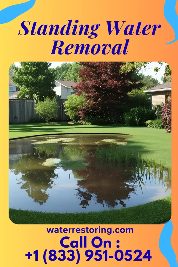 Standing Water Removal in Mount Aetna, MD